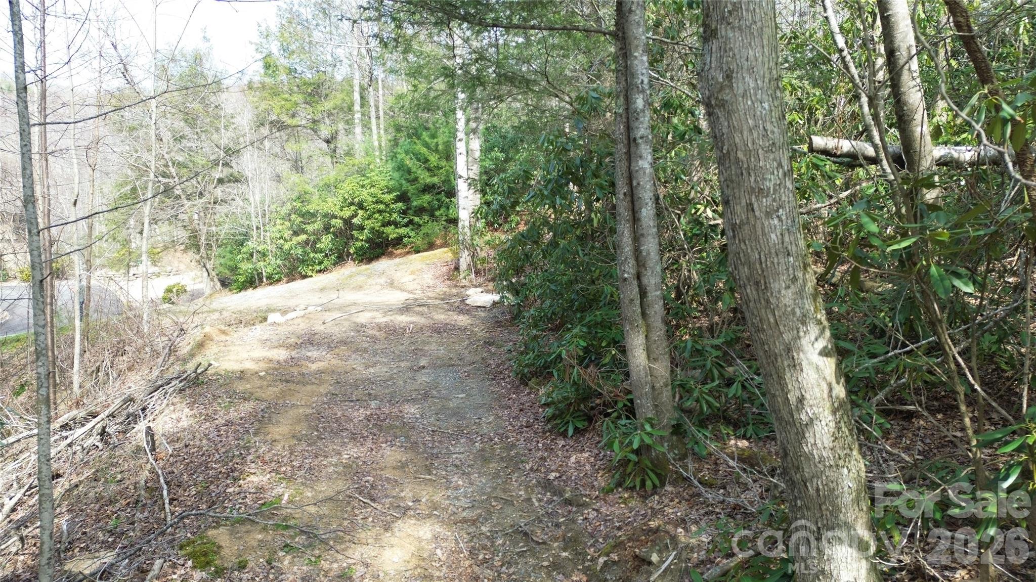 0 Woodlake Loop Road Elk Park, NC 28622 - Photo 7 of 29 a view of a yard with plants and trees