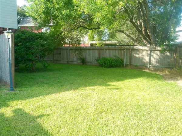 a view of a yard with a trees