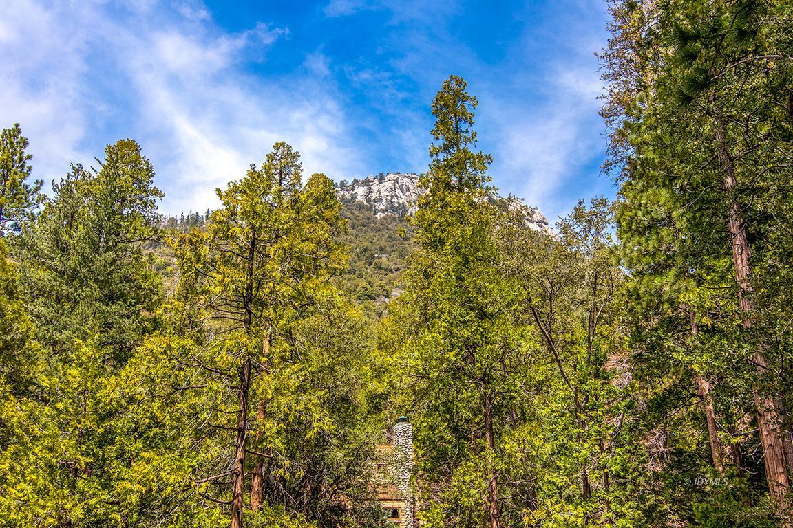 24750 Upper Rim Rock Road Idyllwild, CA 92549 - Photo 41 of 58 a view of a tree with a tree in front of it