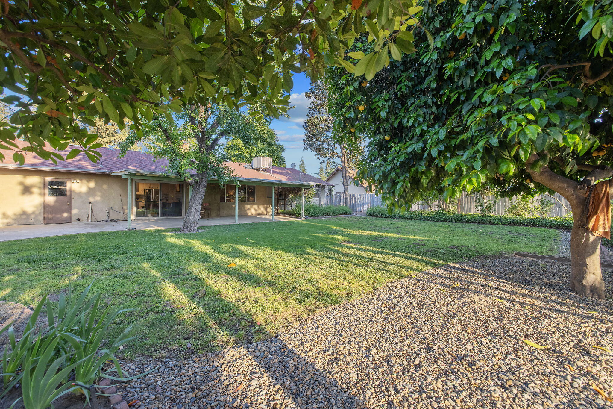 30955 Tower Road Visalia, CA 93292 - Photo 47 of 65 55-web-or-mls-713A5749