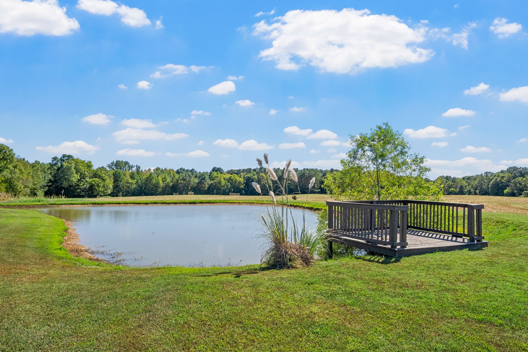 5340 Rabbit Creek Road Buchanan, TN 38222 - Photo 44 of 51 a view of a lake with outdoor space