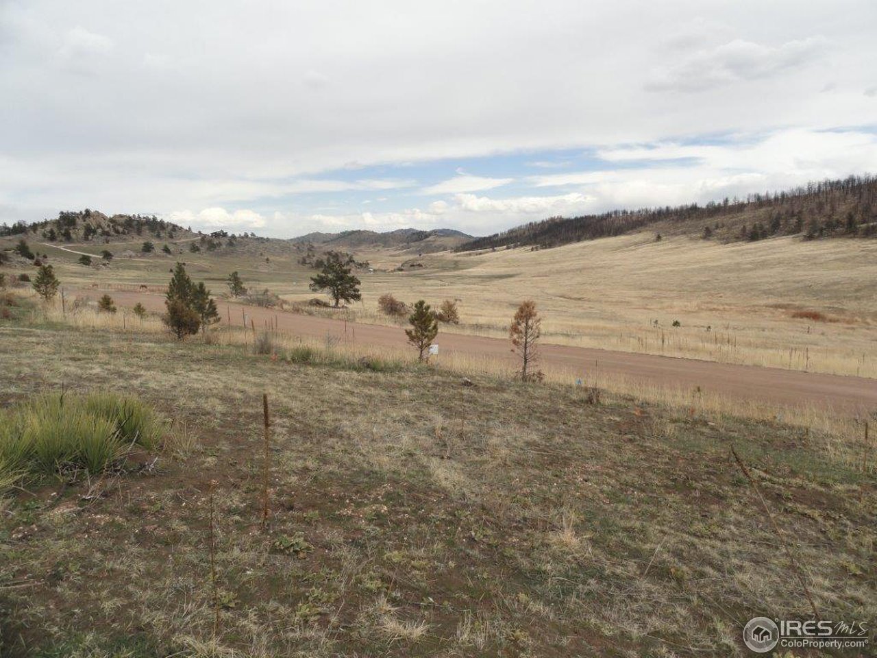 1355 Eiger Road Livermore, CO 80536 - Photo 6 of 18 Gallery Image 6