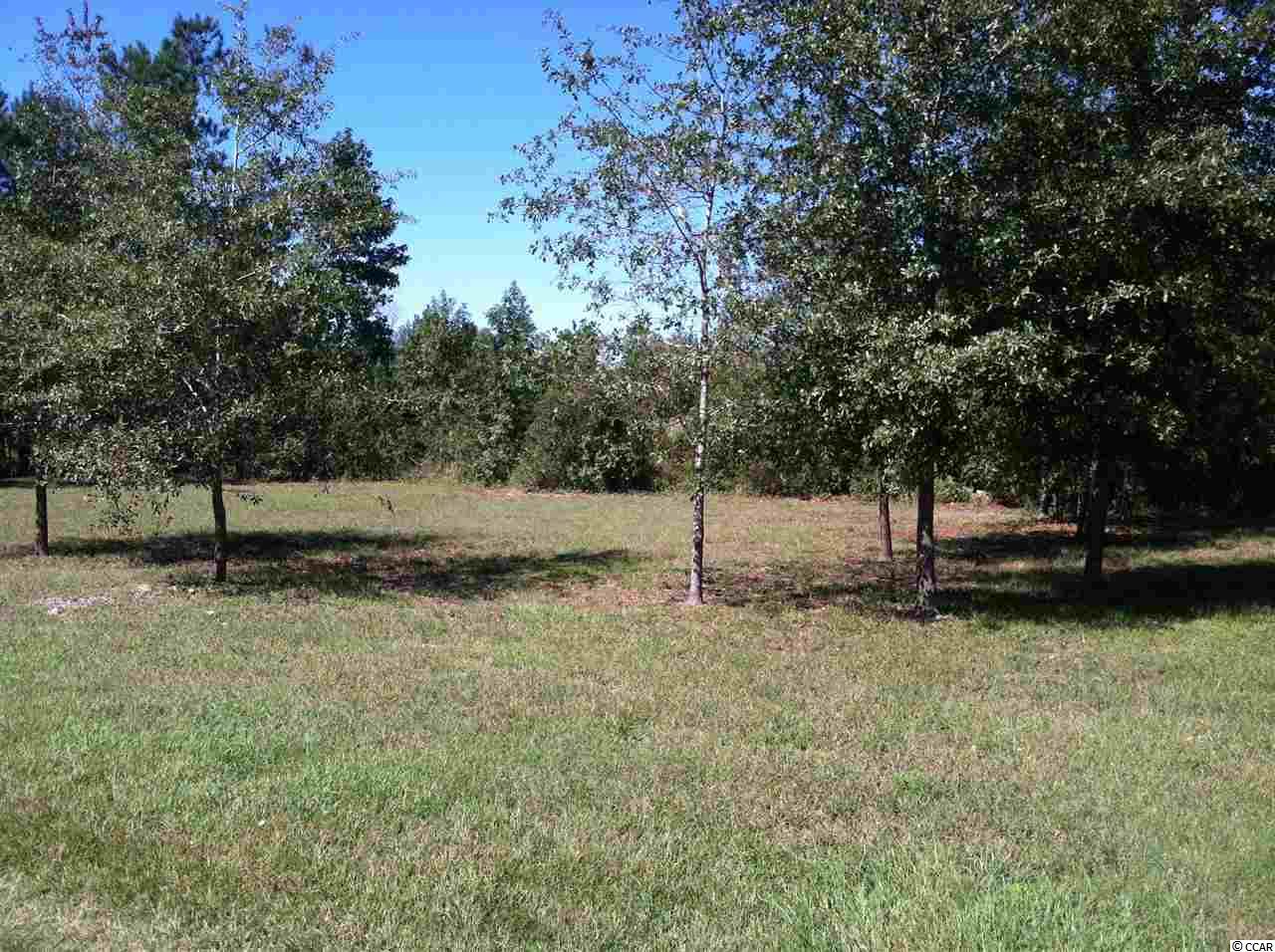 837 Lake Chapel Road Johnsonville, SC 29555 - Photo 14 of 18 Gallery Image 14