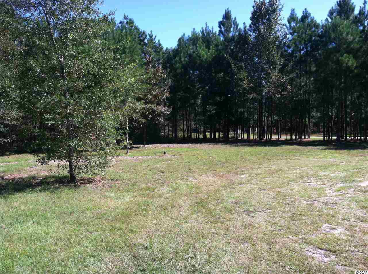837 Lake Chapel Road Johnsonville, SC 29555 - Photo 15 of 18 Gallery Image 15