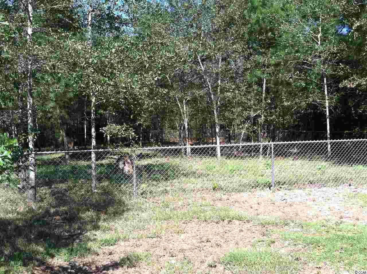 837 Lake Chapel Road Johnsonville, SC 29555 - Photo 16 of 18 Gallery Image 16