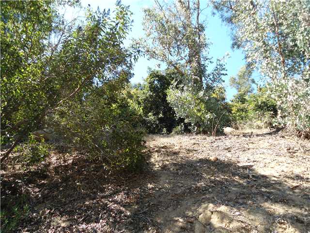 40278 Daily Road Fallbrook, CA 92028 - Photo 10 of 10 Gallery Image 10