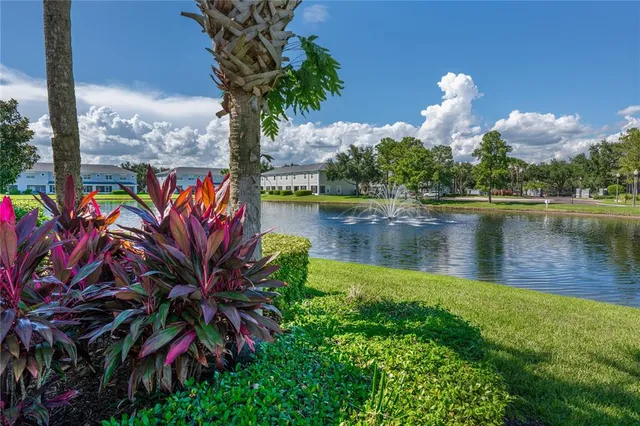 a view of a lake with a palm tree
