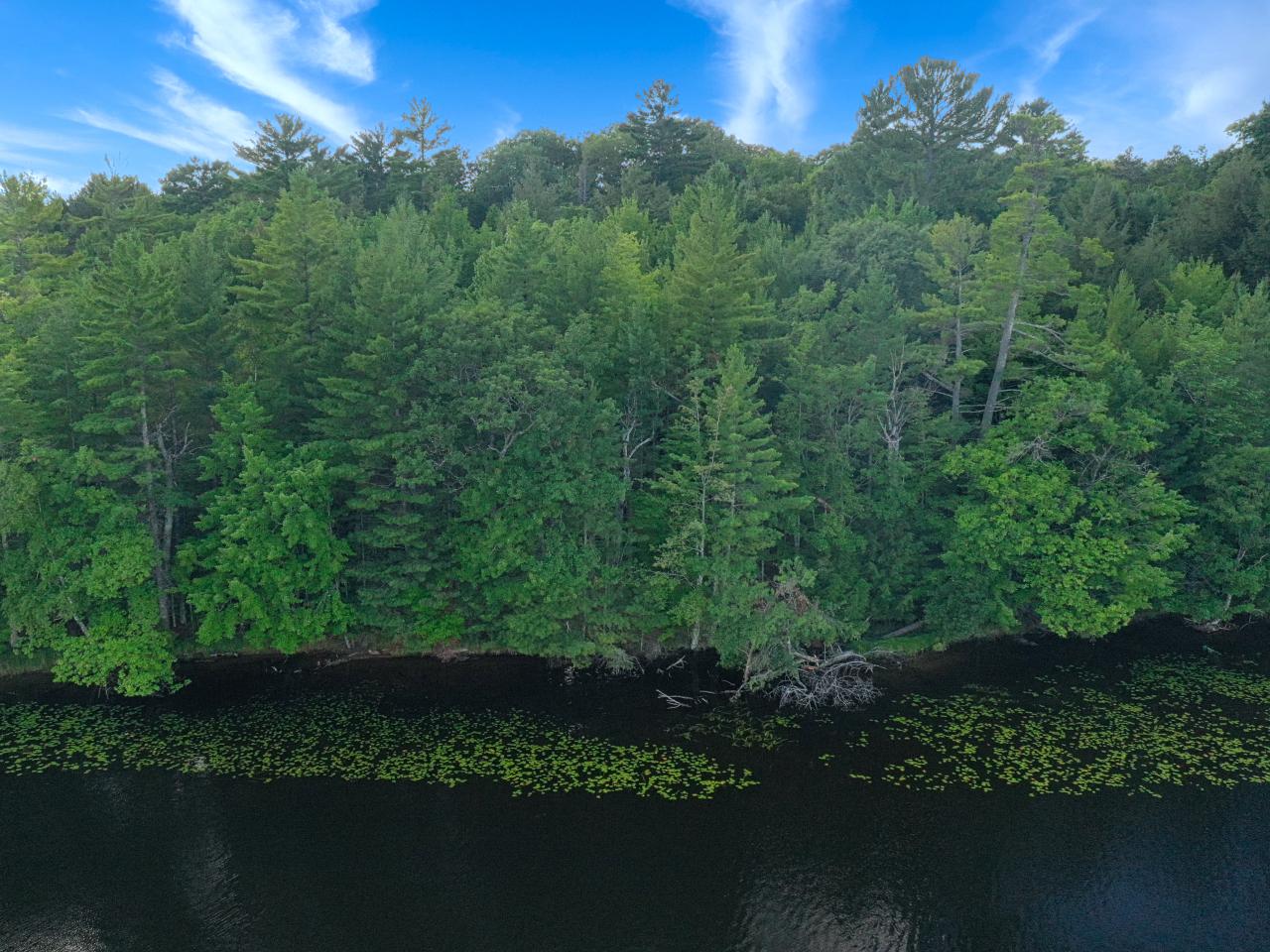 Three Timberlane Road, Unit 1 77 ACRES Three Lakes, WI 54562 - Photo 13 of 25 Gallery Image 13