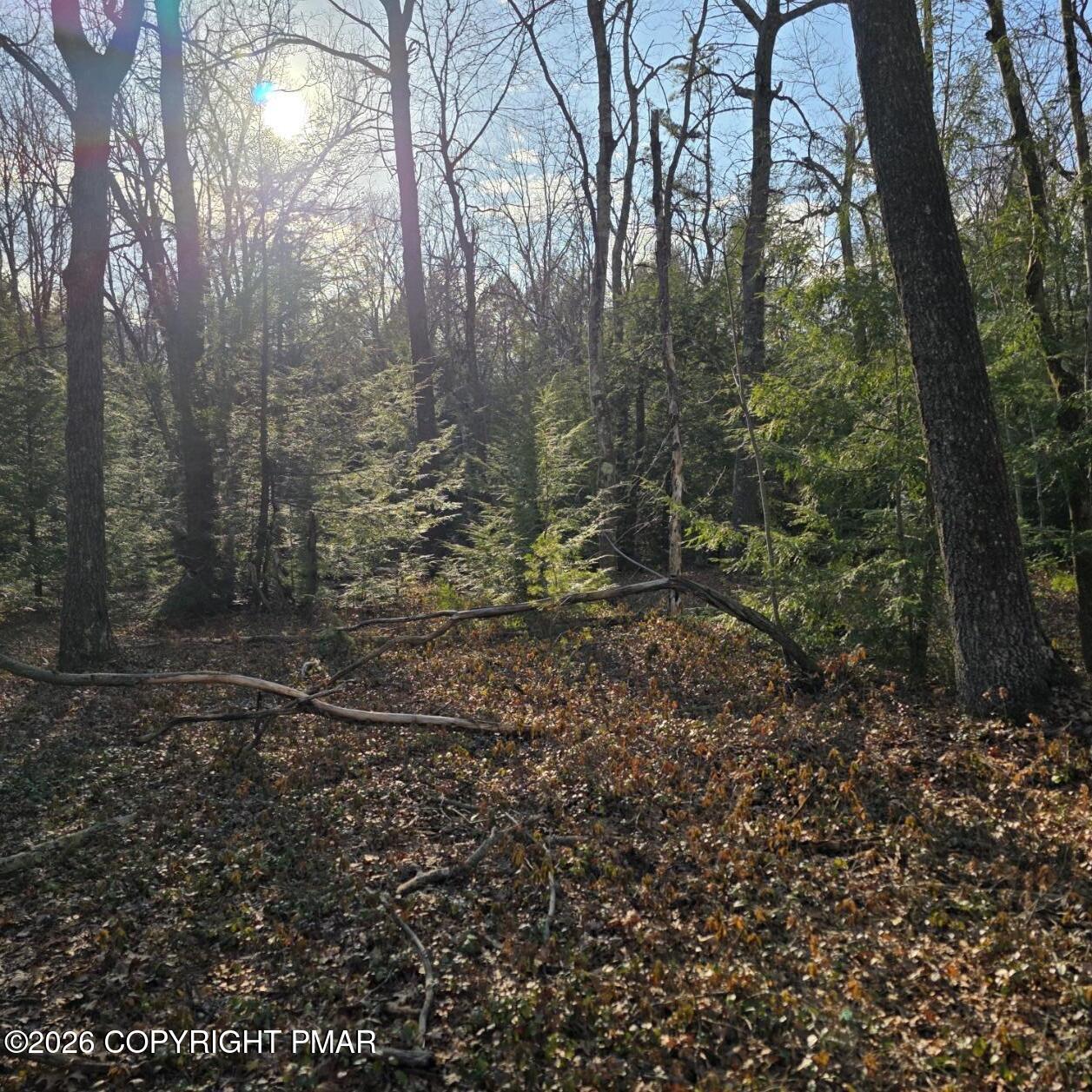 Snowy Ridge Jim Thorpe, PA 18229 - Photo 13 of 40 a view of a yard with trees in the background