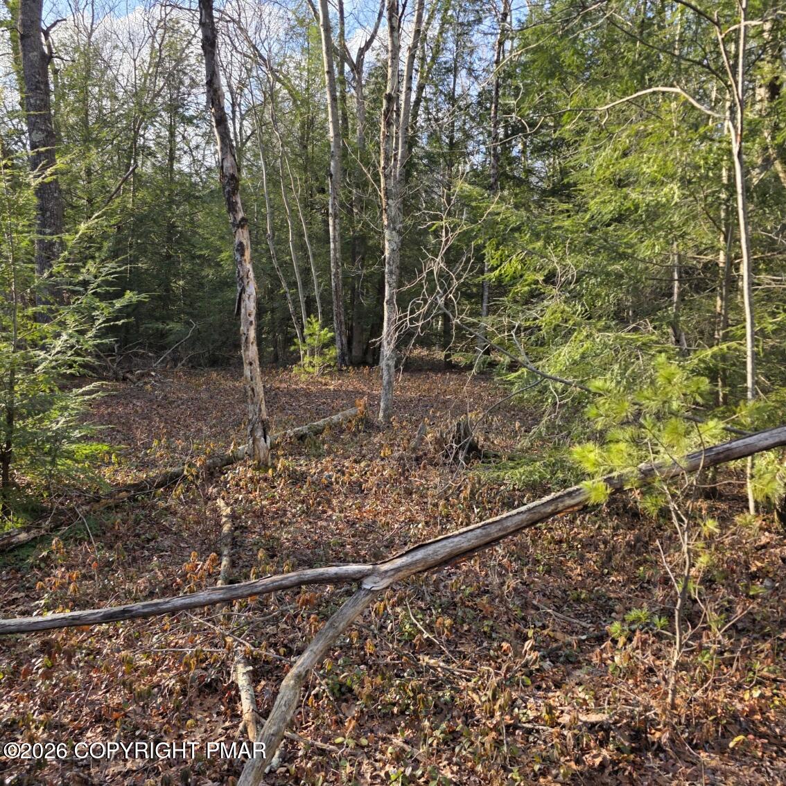 Snowy Ridge Jim Thorpe, PA 18229 - Photo 17 of 40 a view of a yard with wooden fence