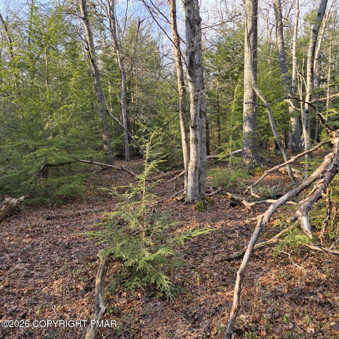 Snowy Ridge Jim Thorpe, PA 18229 - Photo 19 of 40 a backyard of a house with lots of green space