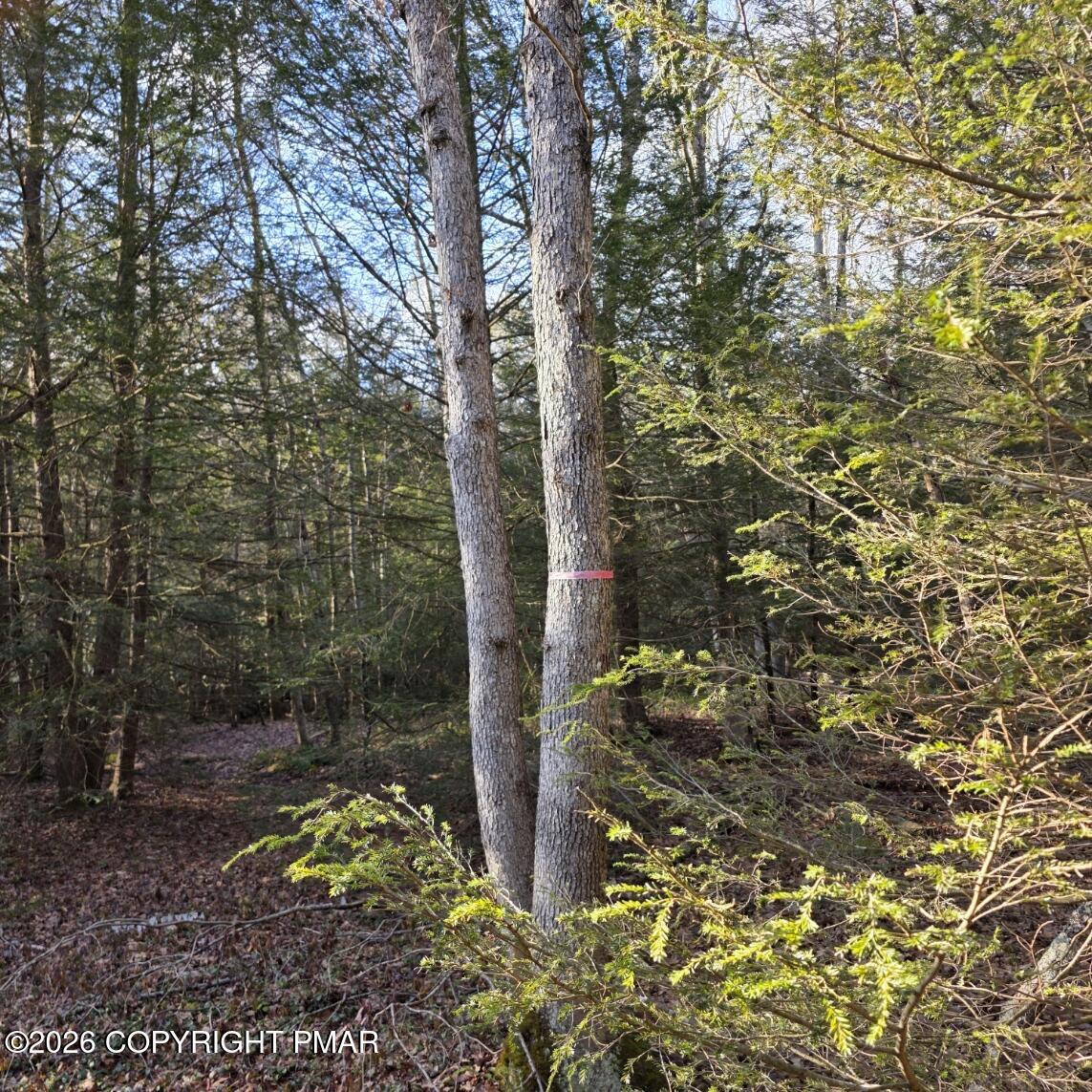 Snowy Ridge Jim Thorpe, PA 18229 - Photo 2 of 40