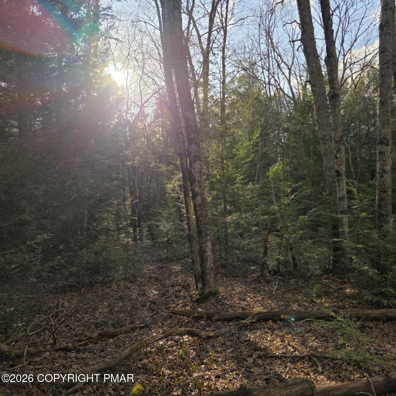 Snowy Ridge Jim Thorpe, PA 18229 - Photo 22 of 40 a view of a forest