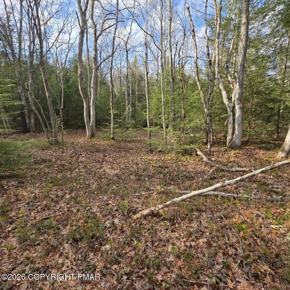 Snowy Ridge Jim Thorpe, PA 18229 - Photo 23 of 40 a backyard of a house with lots of green space