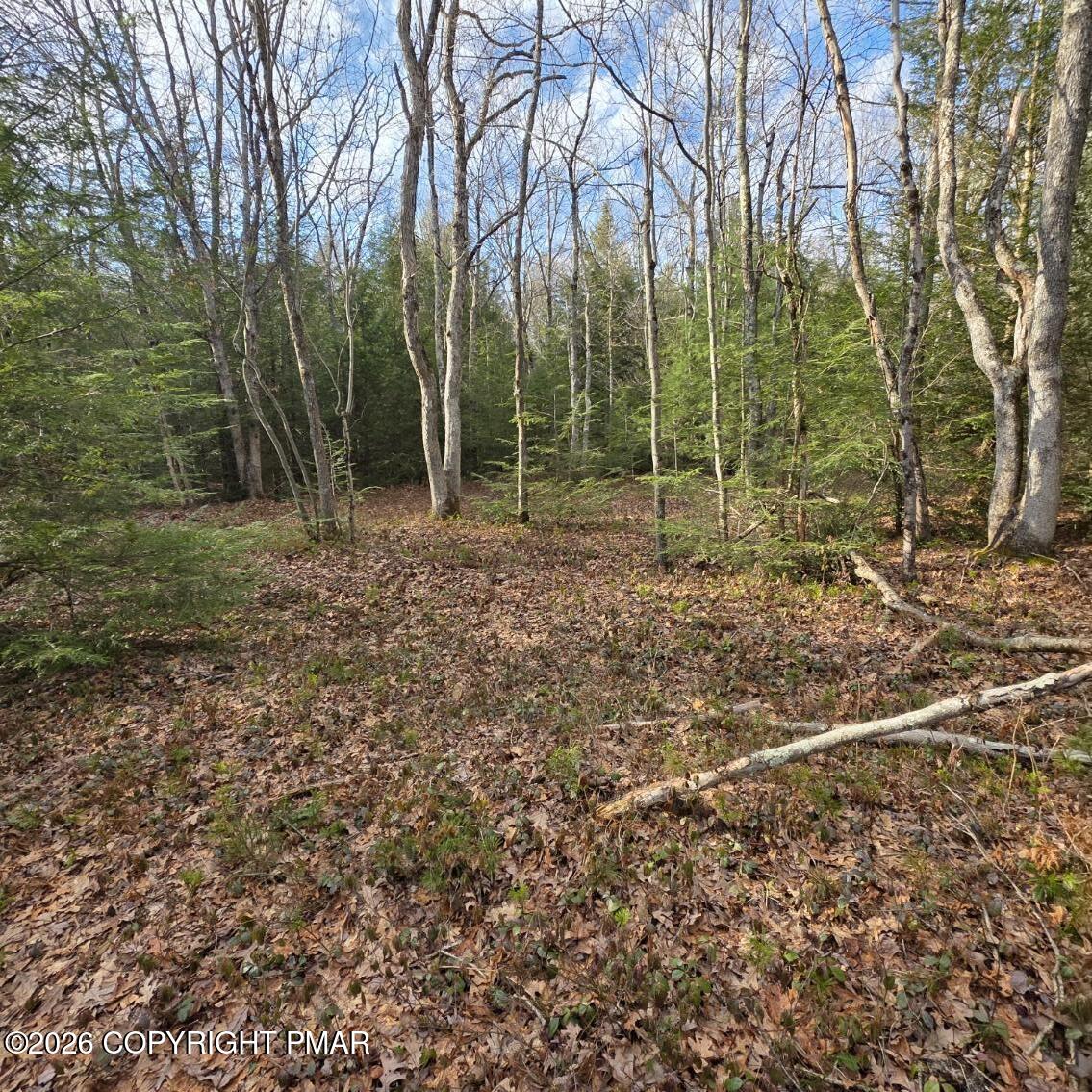 Snowy Ridge Jim Thorpe, PA 18229 - Photo 24 of 40 a backyard of a house with lots of green space