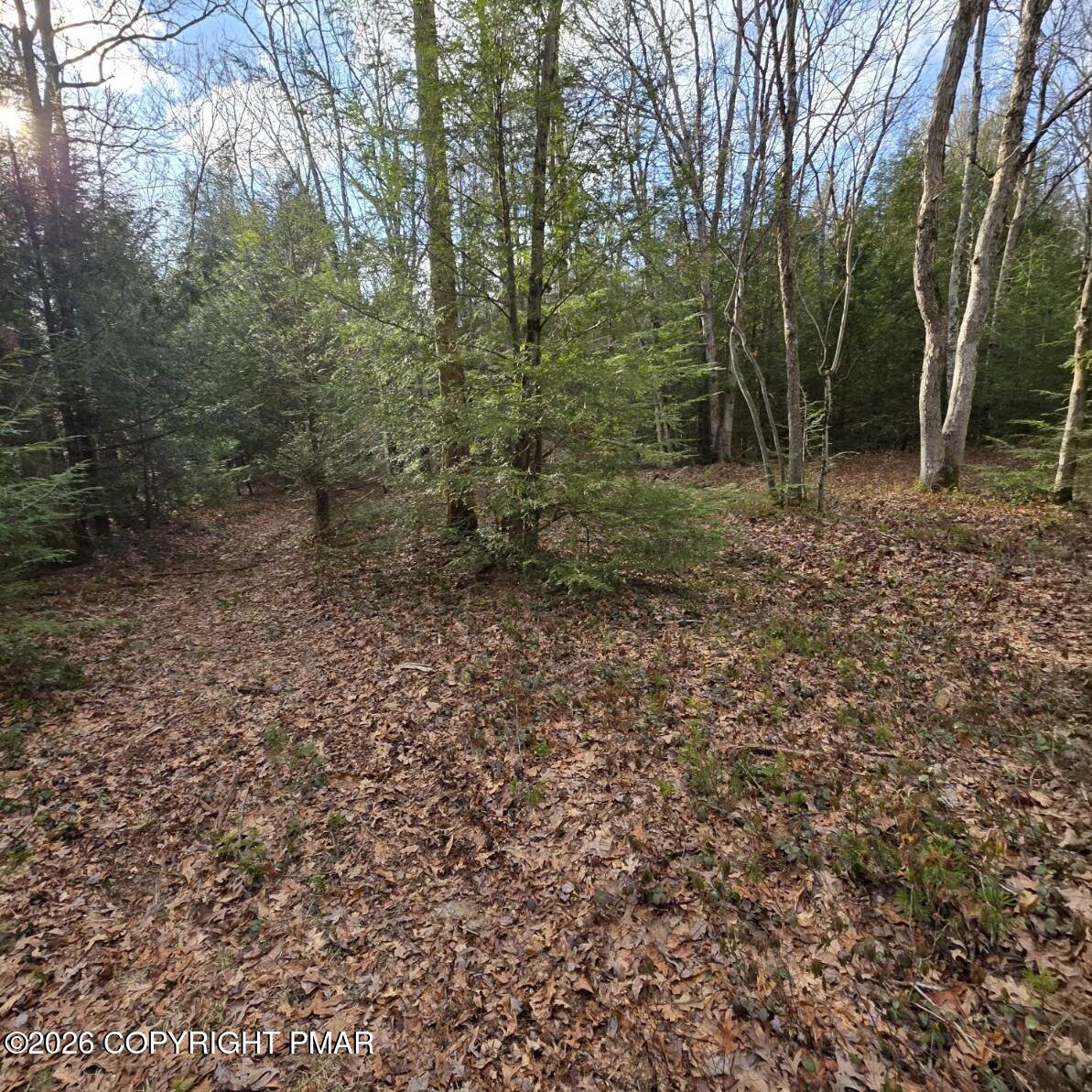 Snowy Ridge Jim Thorpe, PA 18229 - Photo 25 of 40 a view of a forest with trees in the background