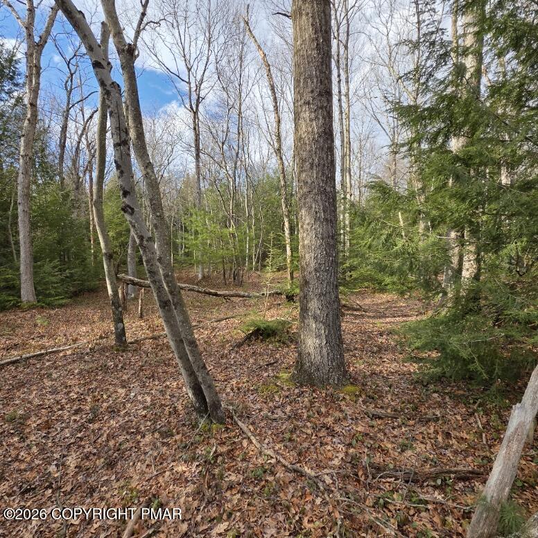 Snowy Ridge Jim Thorpe, PA 18229 - Photo 27 of 40 a backyard of a house with lots of green space