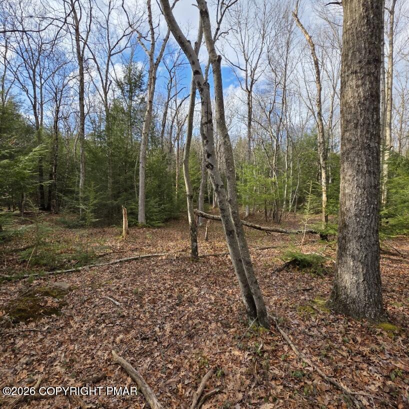 Snowy Ridge Jim Thorpe, PA 18229 - Photo 28 of 40 a backyard of a house with lots of green space