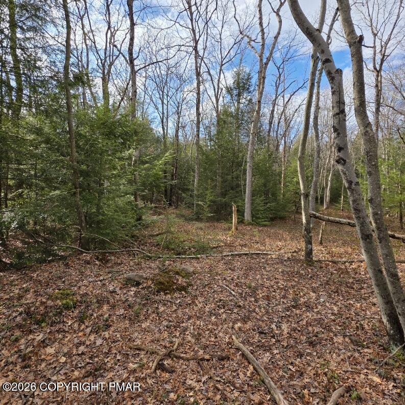 Snowy Ridge Jim Thorpe, PA 18229 - Photo 29 of 40 a backyard of a house with lots of green space