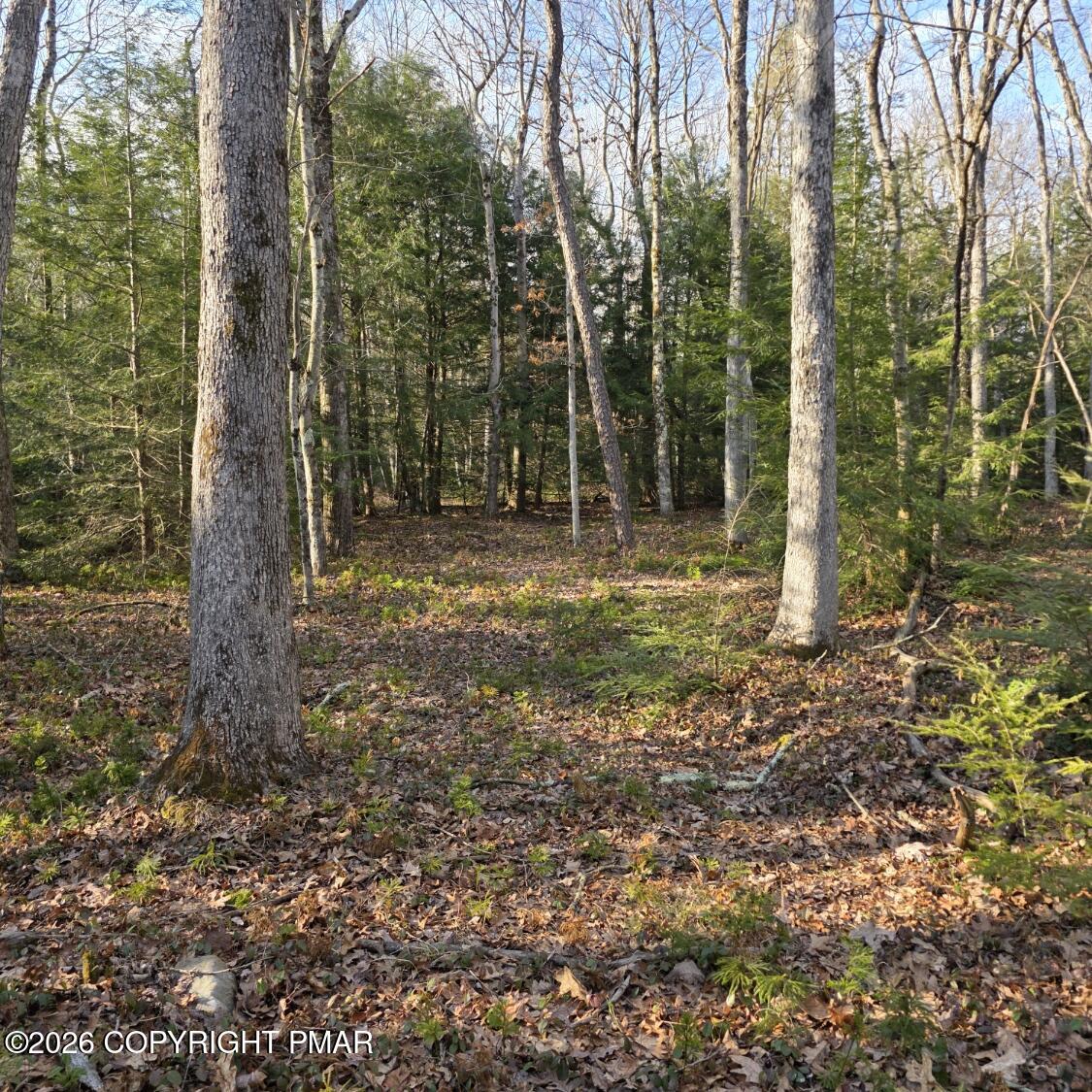 Snowy Ridge Jim Thorpe, PA 18229 - Photo 3 of 40 a backyard of a house with lots of green space