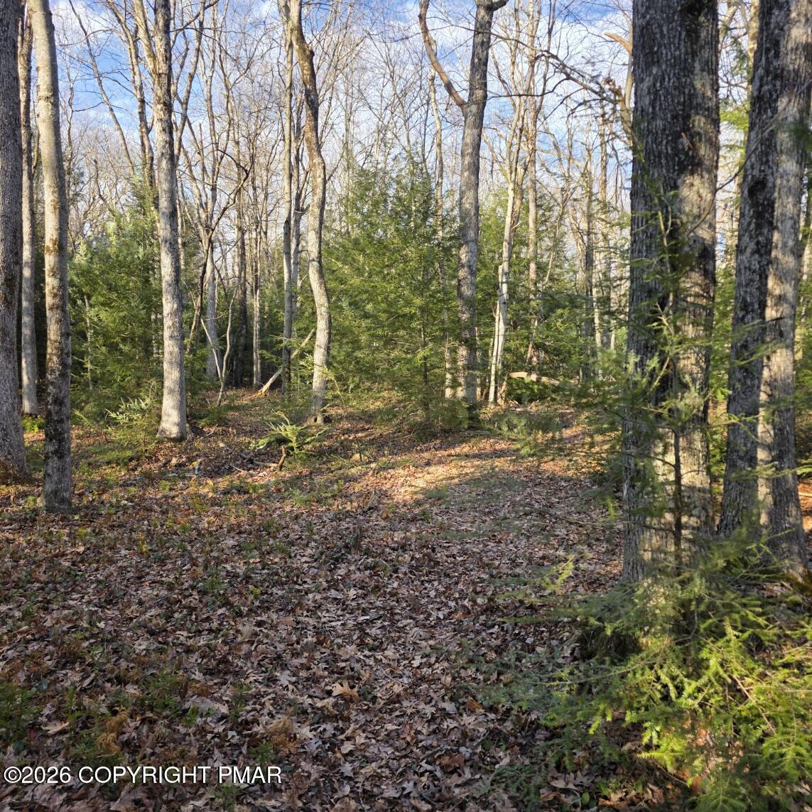 Snowy Ridge Jim Thorpe, PA 18229 - Photo 4 of 40 a view of outdoor space and yard