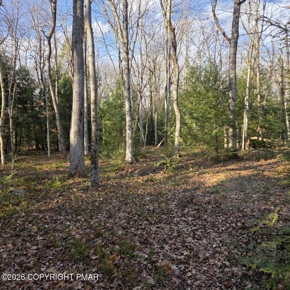 Snowy Ridge Jim Thorpe, PA 18229 - Photo 5 of 40