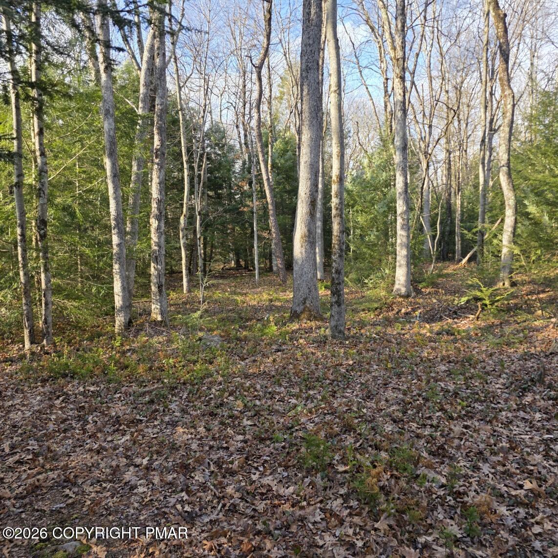 Snowy Ridge Jim Thorpe, PA 18229 - Photo 6 of 40 a backyard of a house with lots of green space