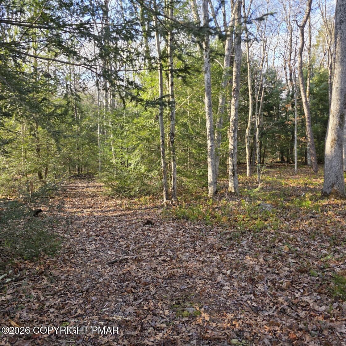 Snowy Ridge Jim Thorpe, PA 18229 - Photo 7 of 40 a backyard of a house with lots of green space