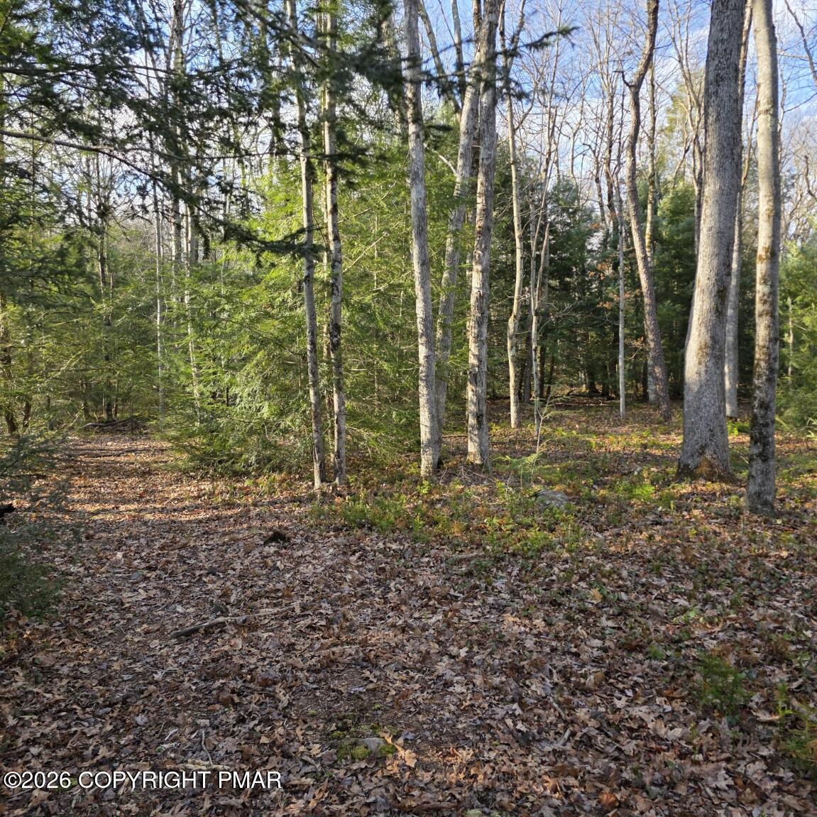Snowy Ridge Jim Thorpe, PA 18229 - Photo 8 of 40 a backyard of a house with lots of green space