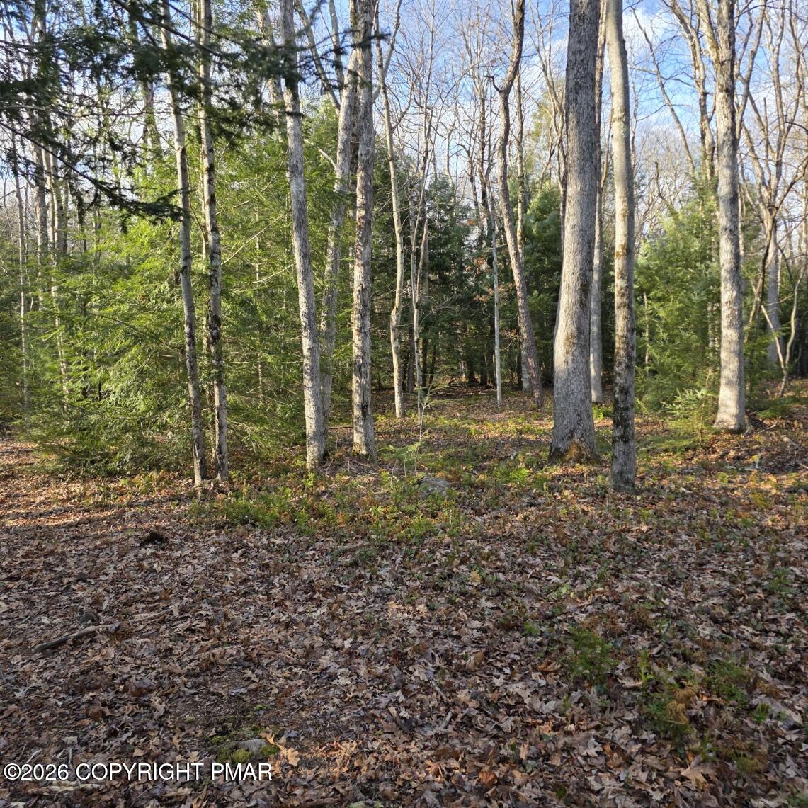 Snowy Ridge Jim Thorpe, PA 18229 - Photo 9 of 40 a backyard of a house with lots of green space