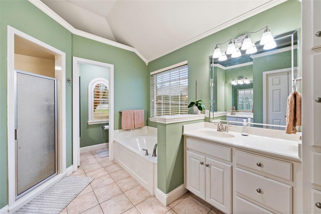 517 Chado Lane Robinson, TX 76706 - Photo 19 of 40 Primary Bathroom with vanity, a bath, lofted ceiling, light tile patterned flooring, and crown molding
