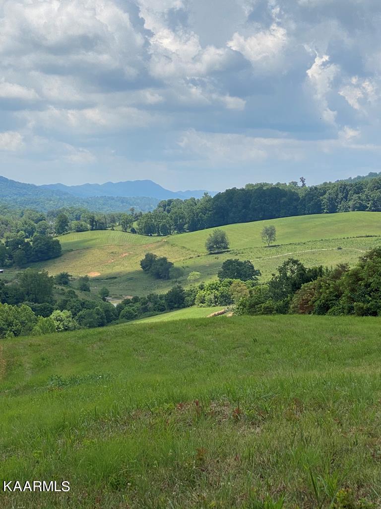 761 Copper Ridge Road Eidson, TN 37731 - Photo 1 of 10 COPPER1