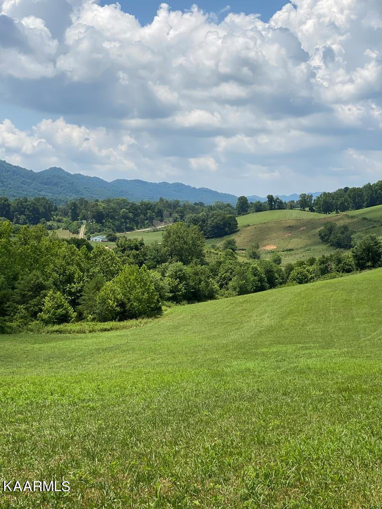 761 Copper Ridge Road Eidson, TN 37731 - Photo 3 of 10 cop1b