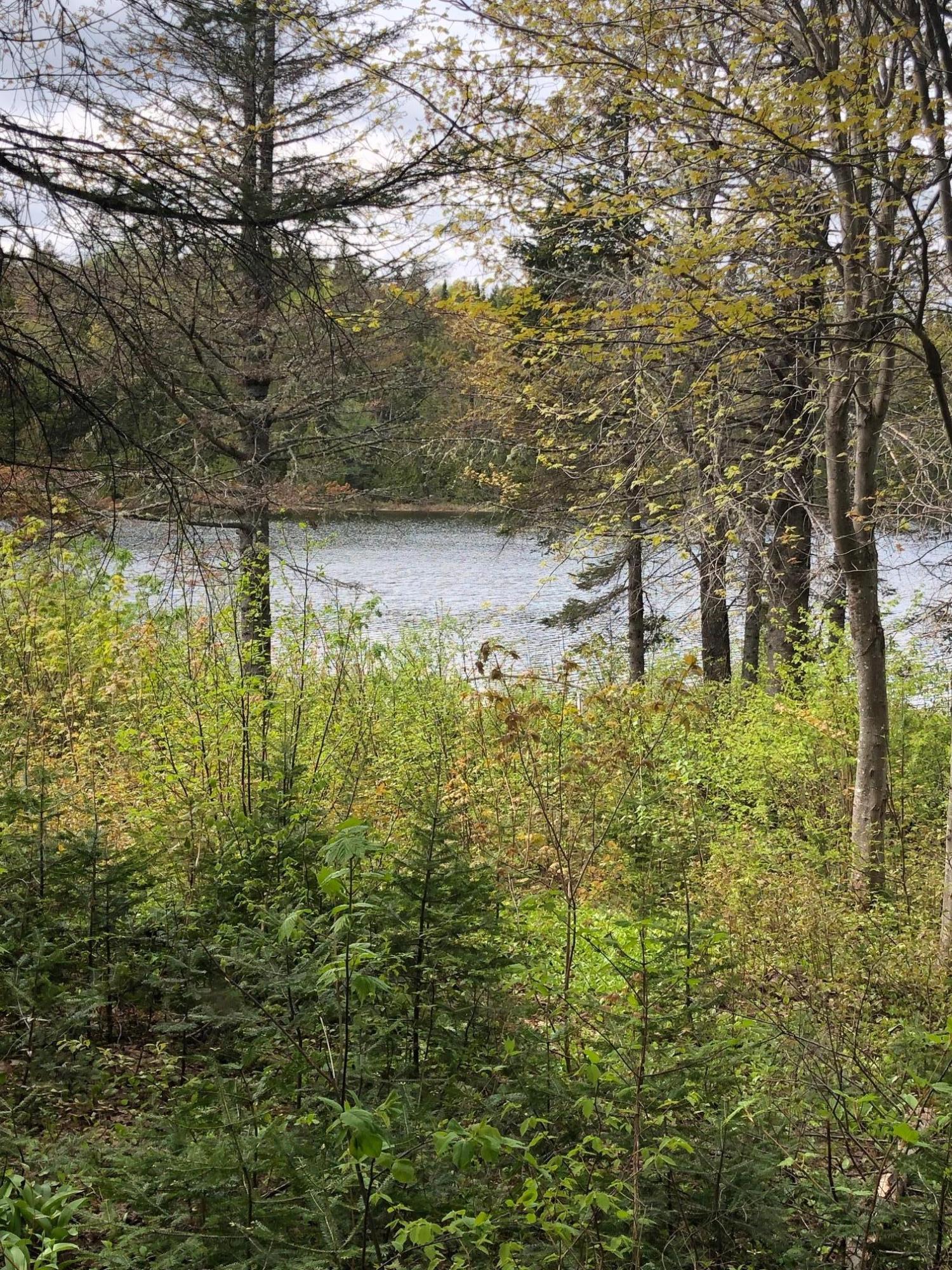7 East Russell Pond Road South Houlton, ME 04730 - Photo 16 of 28 Cottage View of the Lake I (Hunt Russell