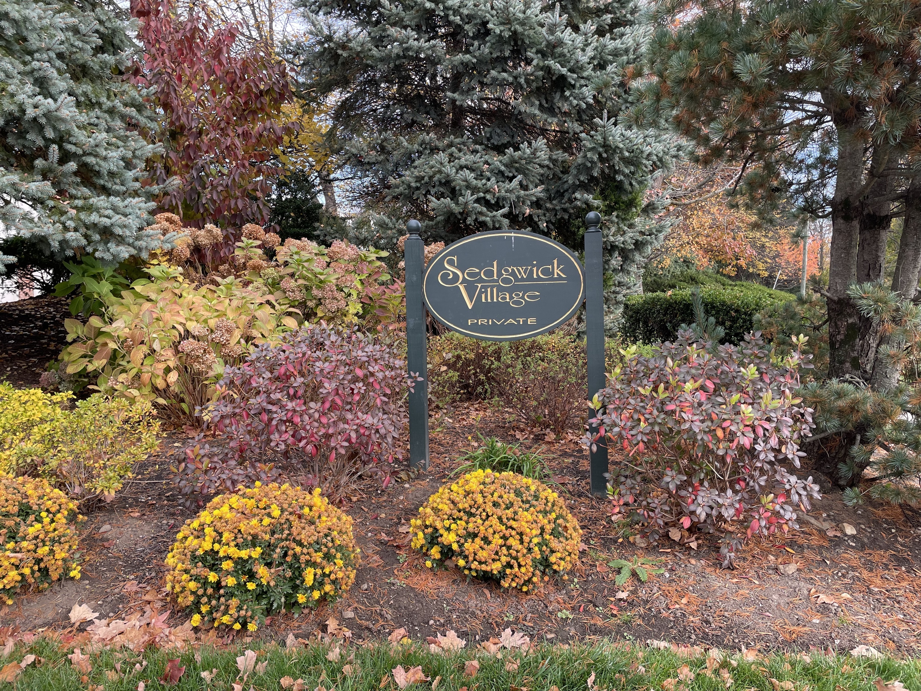 8 Sedgewick Village Lane Darien, CT 06820 - Photo 14 of 15 a view of a tree with a yard