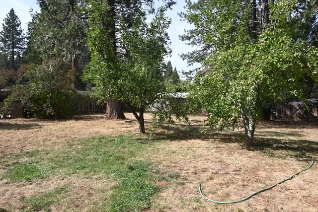 a view of a yard with trees
