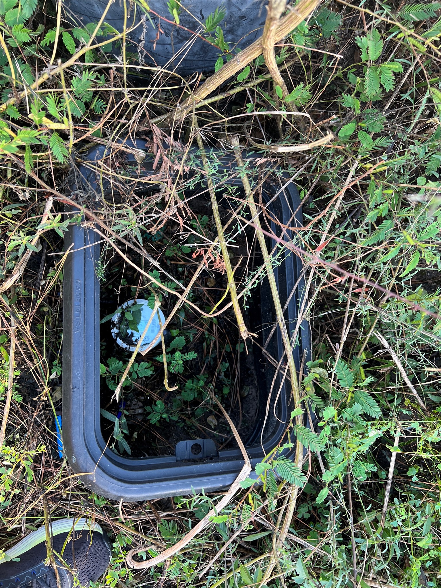 25303 Colette Street Porter, TX 77365 - Photo 9 of 12 a view of an outdoor space