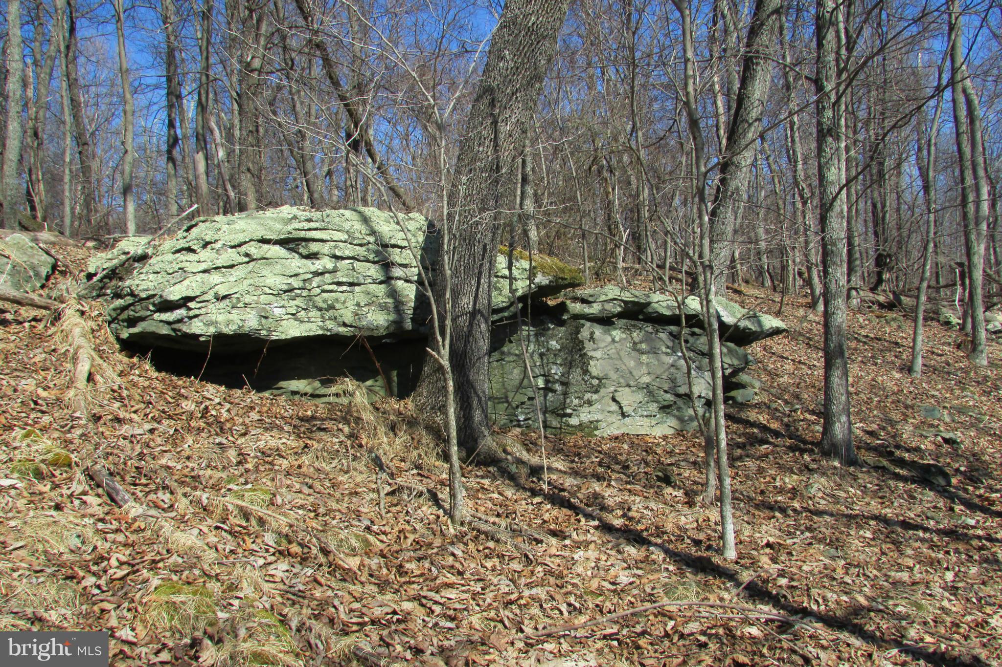 Tower Road Smithsburg, MD 21783 - Photo 3 of 11 unique rock formations
