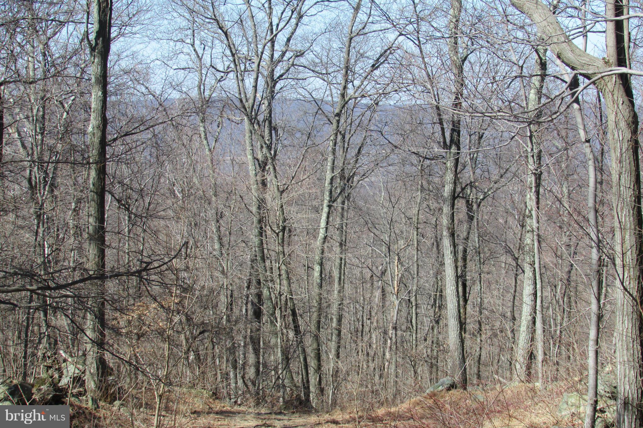 Tower Road Smithsburg, MD 21783 - Photo 8 of 11 view of distant mountains possible