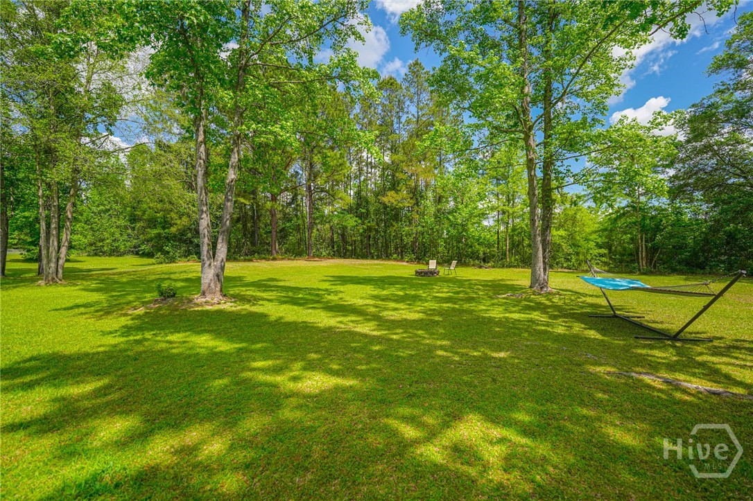 225 Mt Olivet Church Road Fleming, GA 31309 - Photo 21 of 23