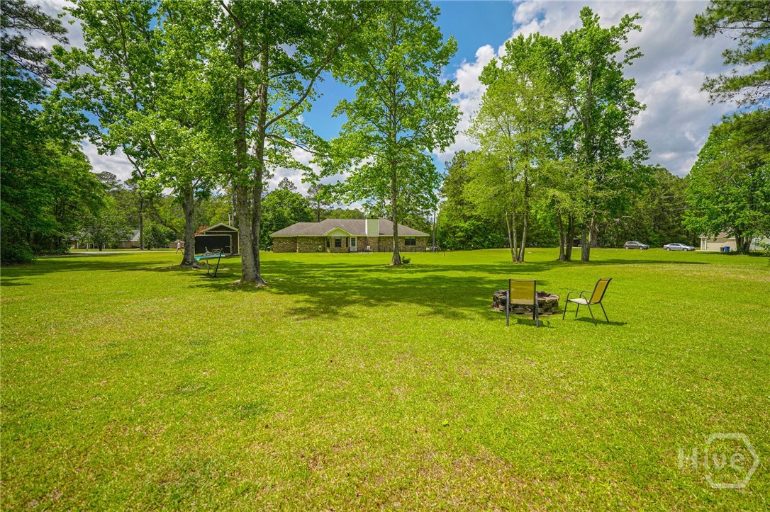 225 Mt Olivet Church Road Fleming, GA 31309 - Photo 23 of 23