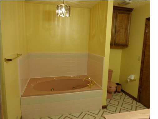 824 McCluer Road Jackson, MS 39212 - Photo 17 of 25 Master bath - jetted tub