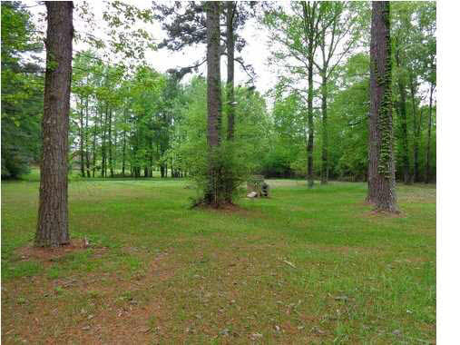 824 McCluer Road Jackson, MS 39212 - Photo 23 of 25 Big and beautiful front yard