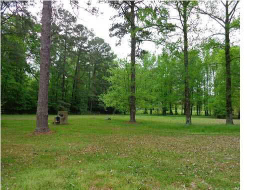 824 McCluer Road Jackson, MS 39212 - Photo 24 of 25 Side yard
