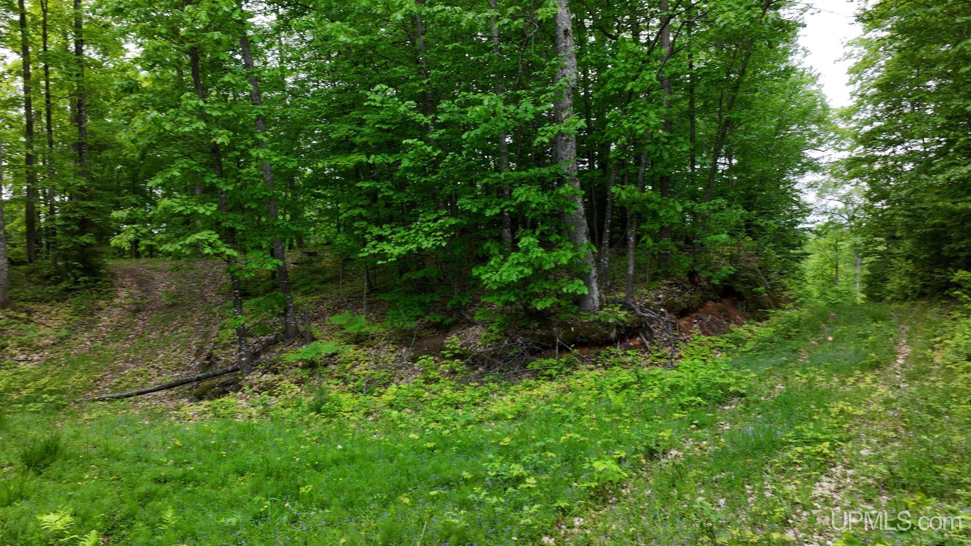 Tbd Tbd Co Road Negaunee, MI 49866 - Photo 47 of 47