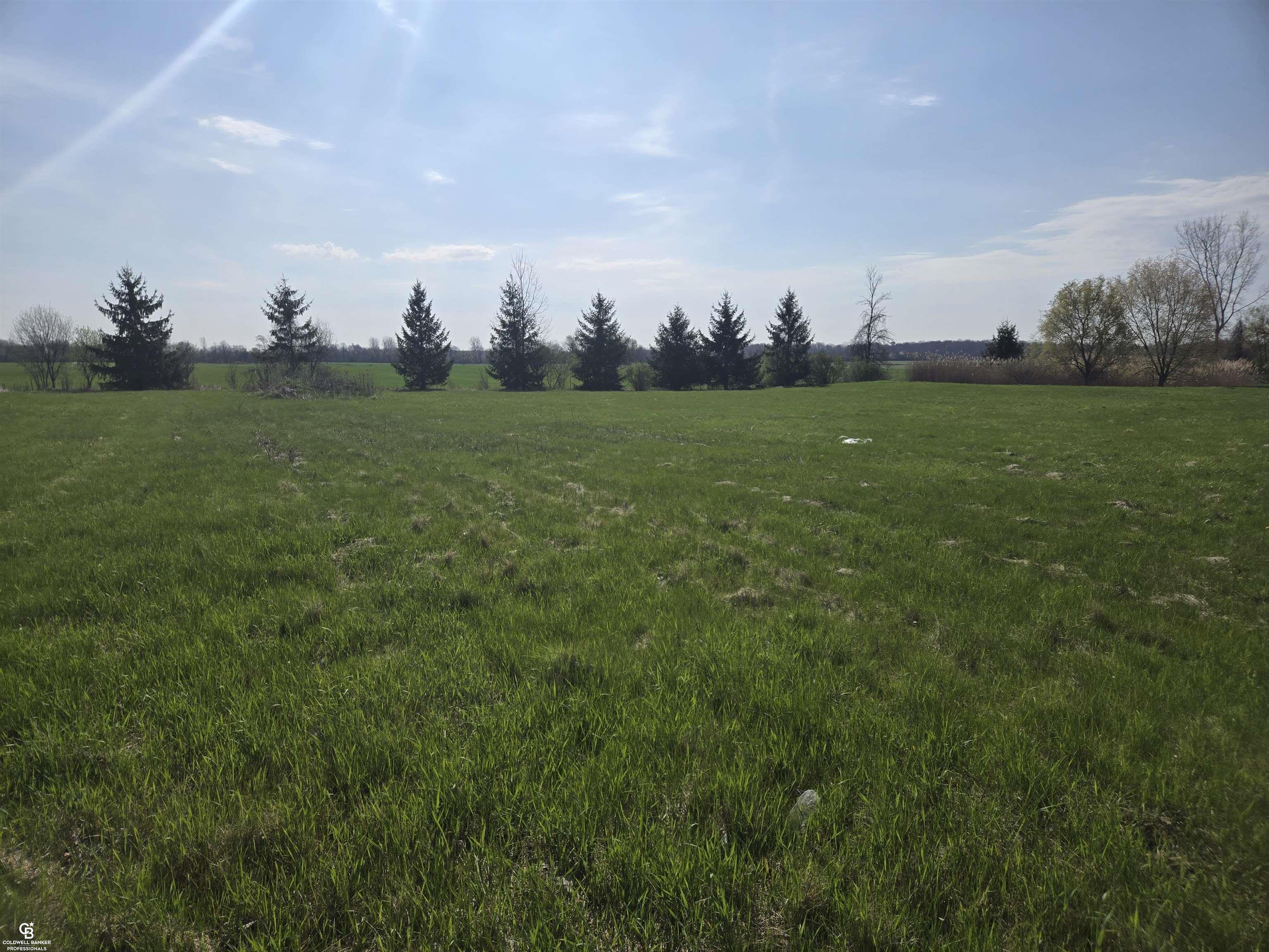 0 Brockway Vl Road Yale, MI 48097 - Photo 8 of 13