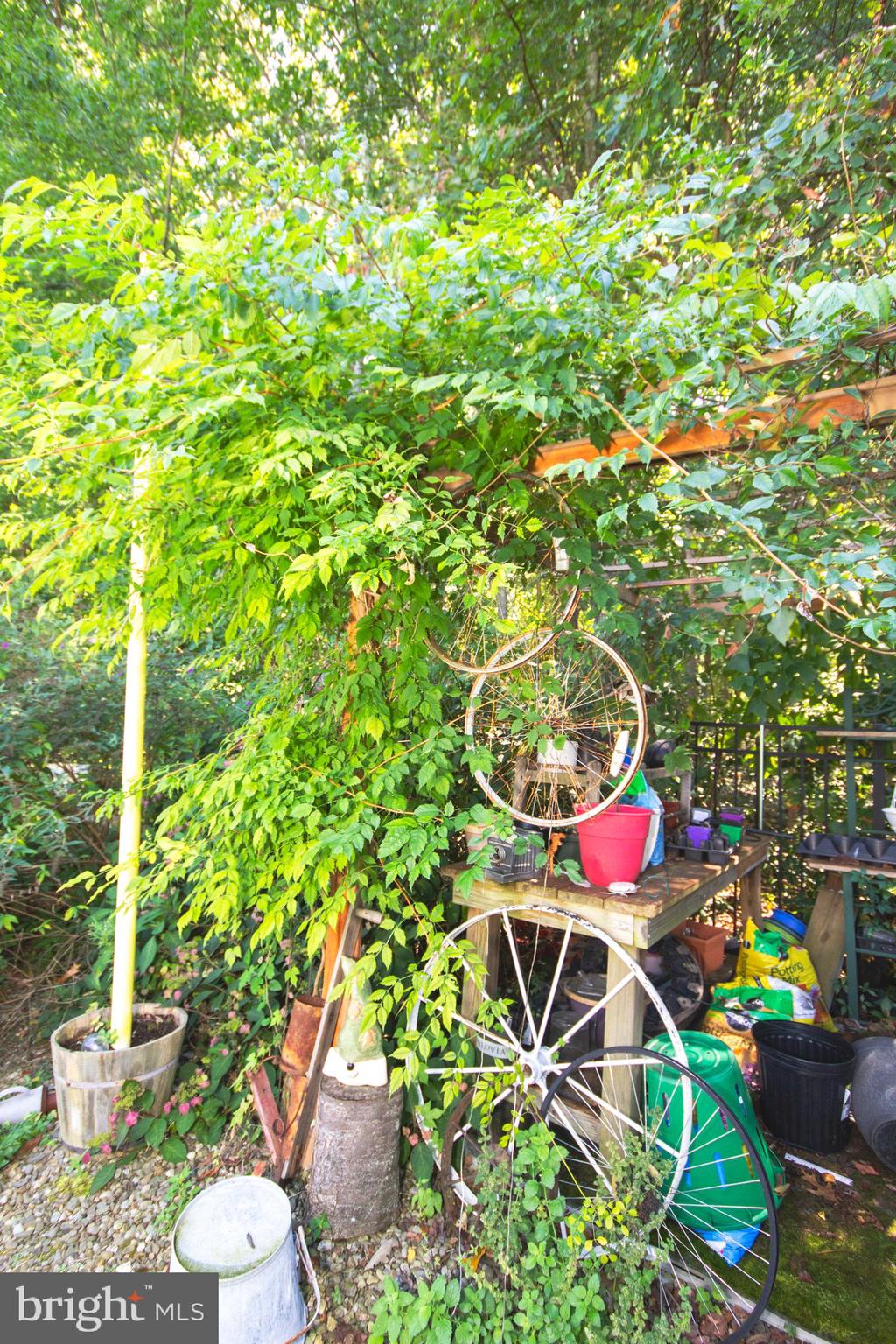 420 Inverness Road Williamstown, NJ 08094 - Photo 50 of 60