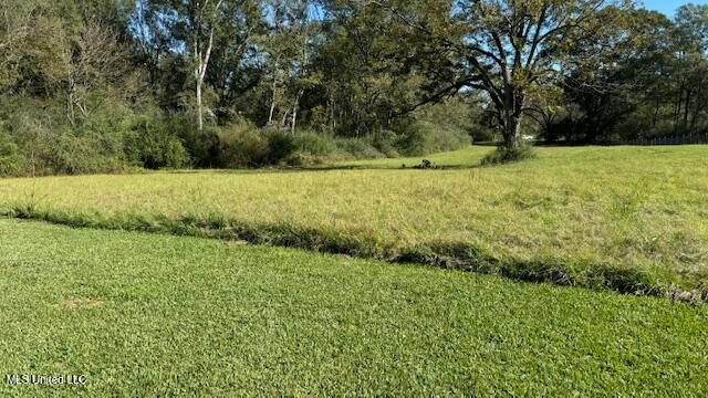 2719 Harperville Road Forest, MS 39074 - Photo 24 of 31 IMG_1144 (1)
