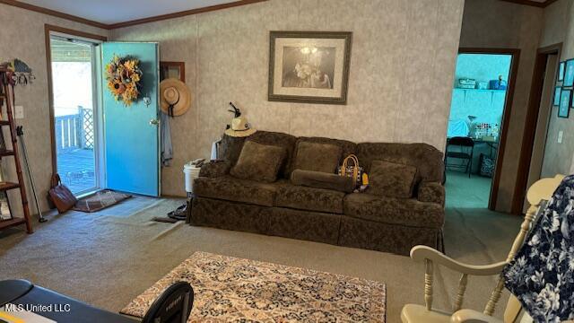 2719 Harperville Road Forest, MS 39074 - Photo 3 of 31 IMG_1156