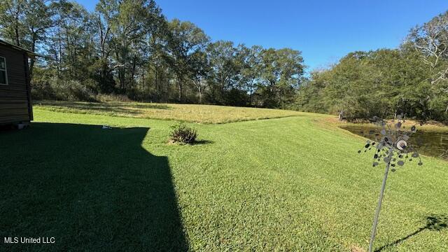 2719 Harperville Road Forest, MS 39074 - Photo 5 of 31 IMG_1130